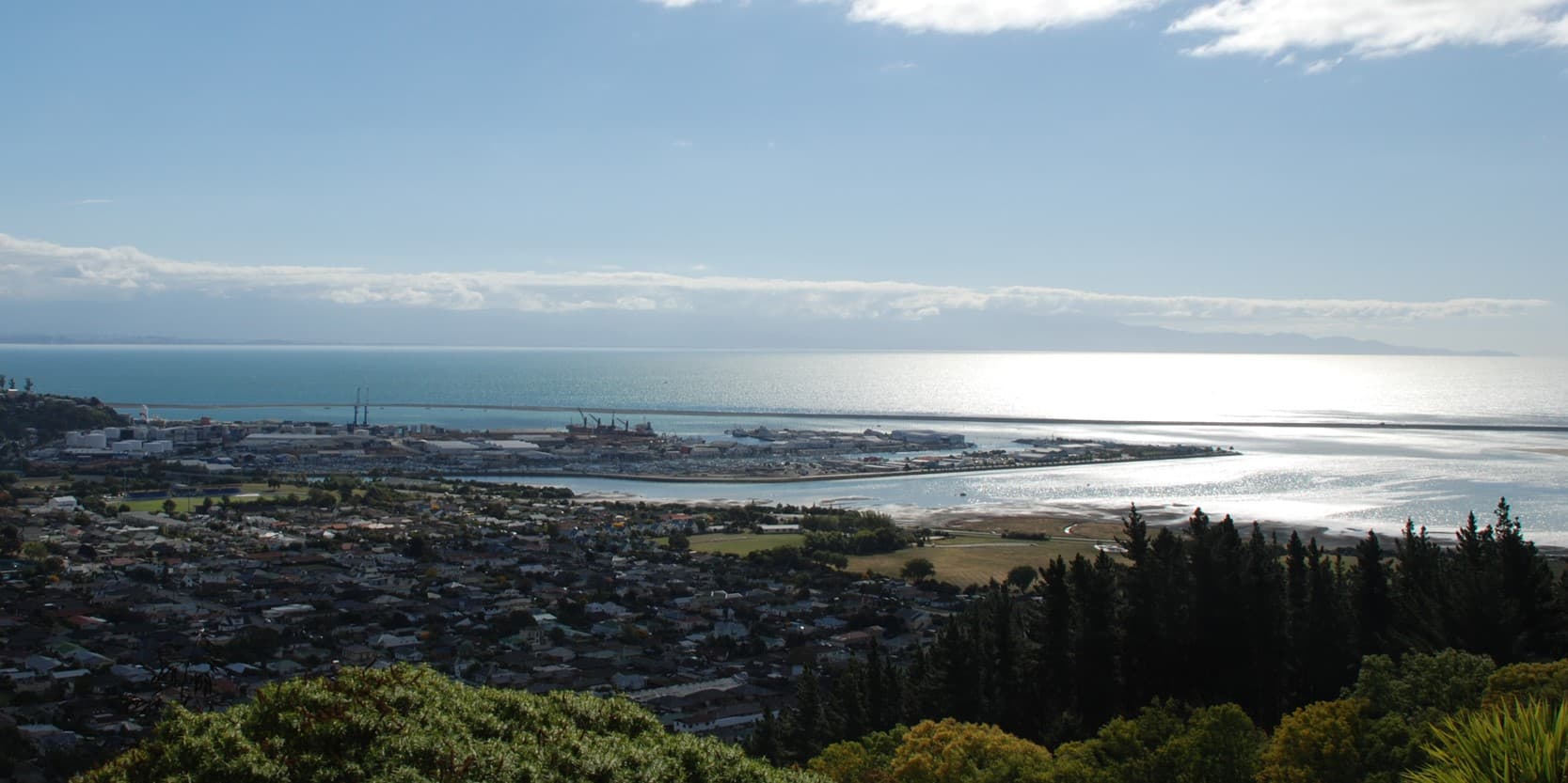 Nelson